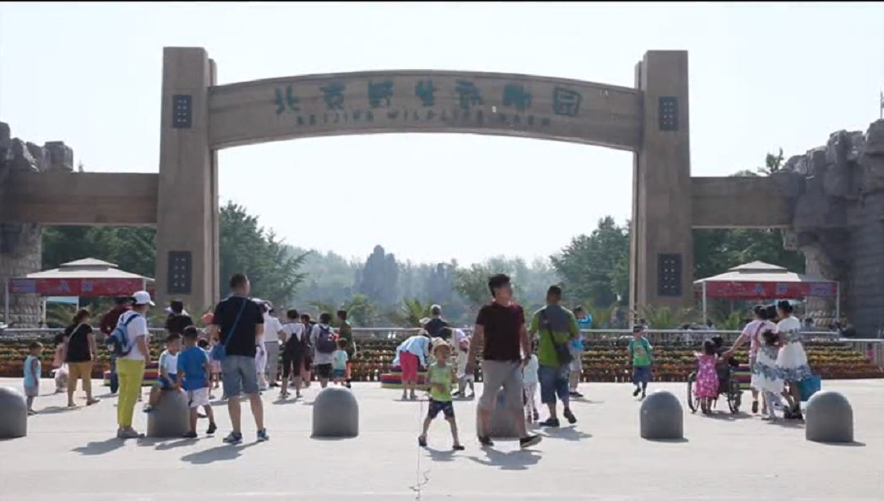 首页- YABO鸭脖公司官网