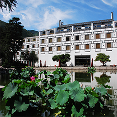 首页- YABO鸭脖公司官网