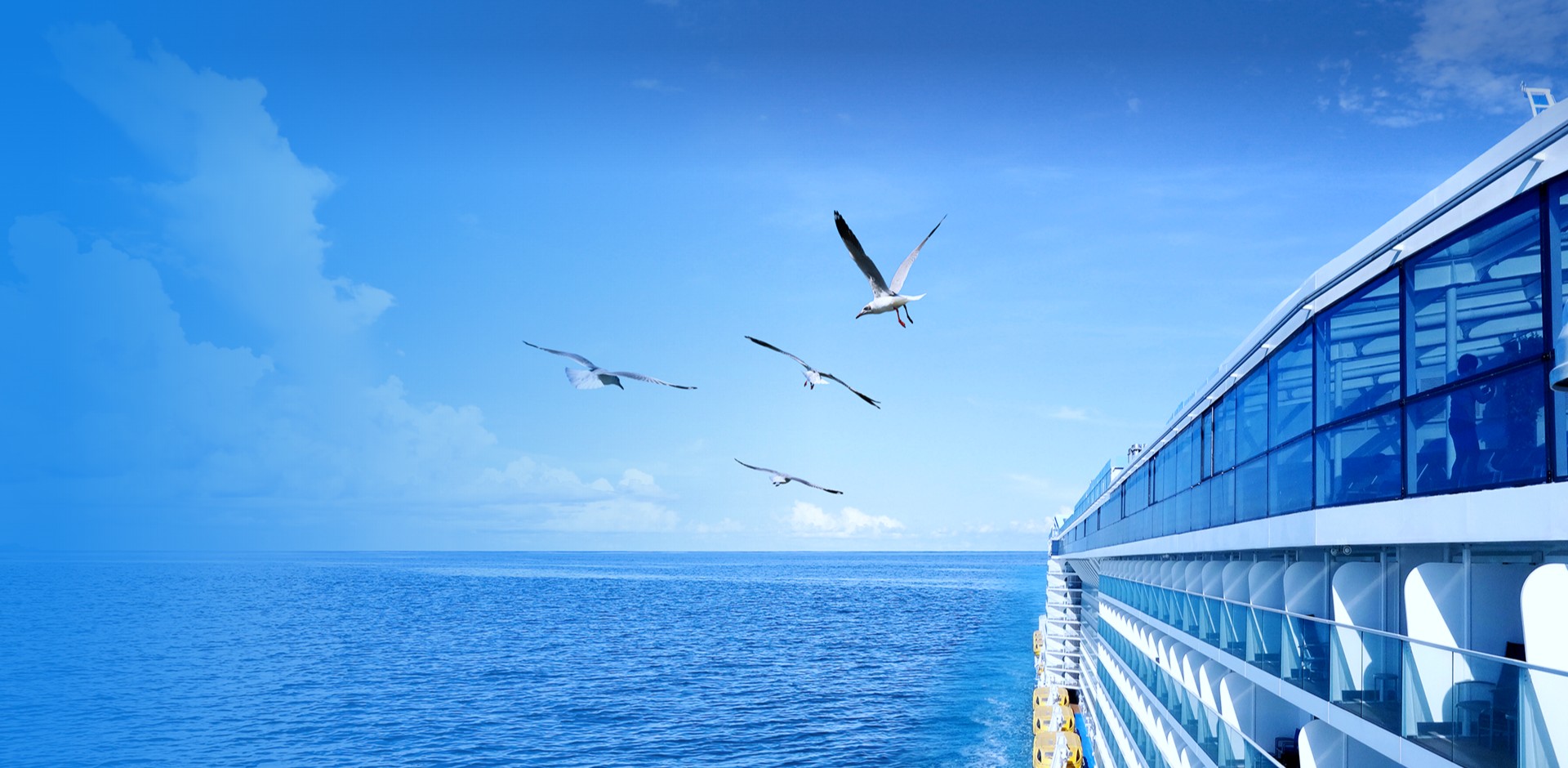 royalʼ88(й) - ٷվ