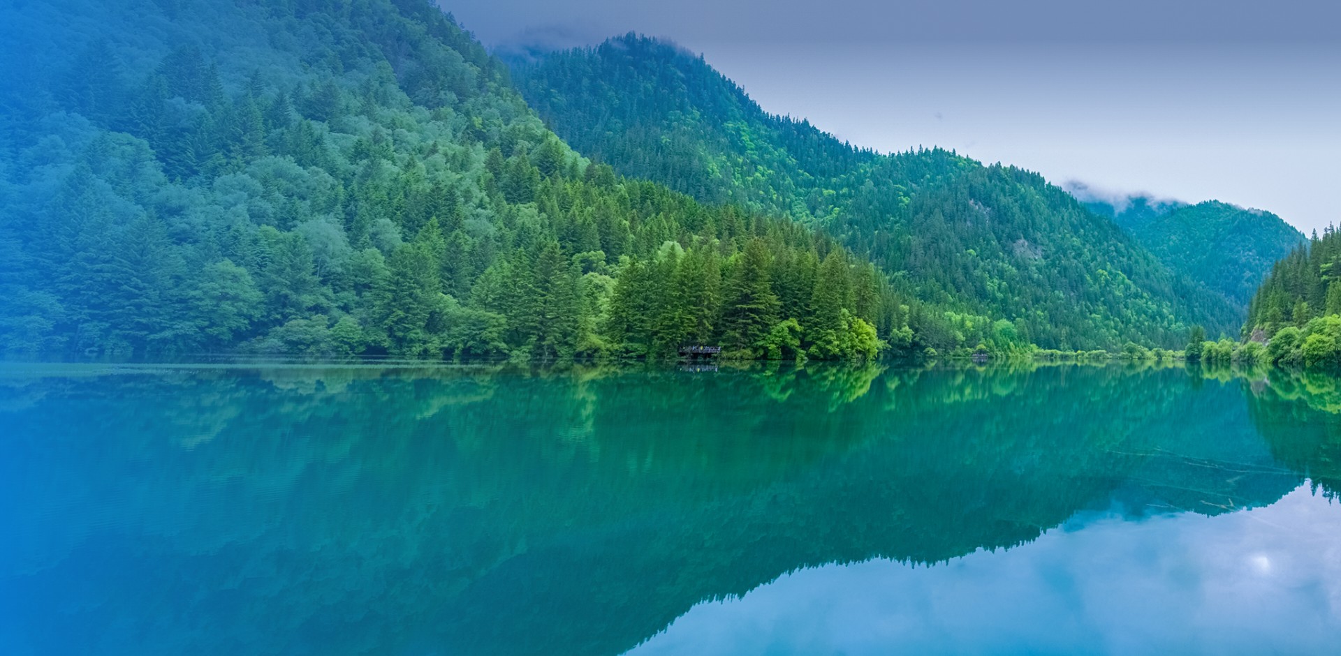 royalʼ88(й) - ٷվ