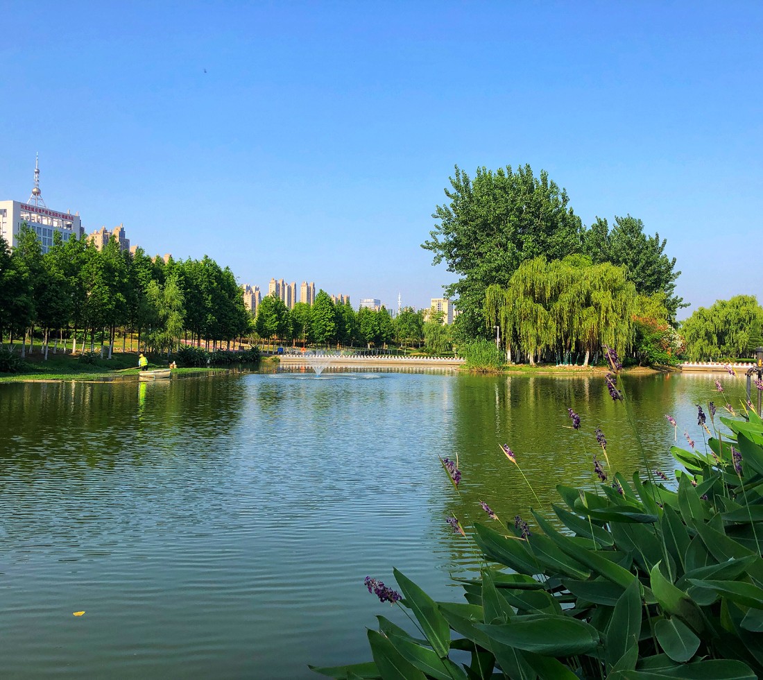 royalʼ88(й) - ٷվ